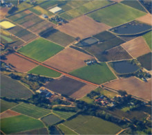 Terreni