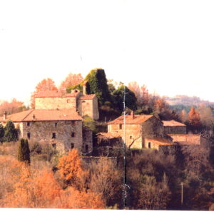 Comune di Radicondoli (SI)