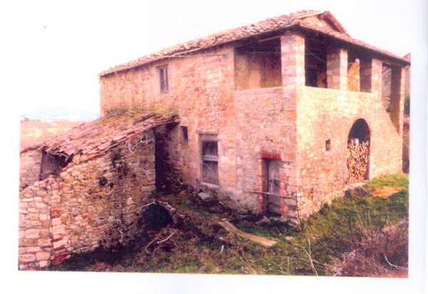 Comune di Radicondoli (SI) - immagine 4