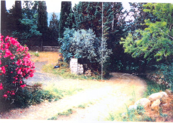 Comune di Radicondoli (SI) - immagine 2